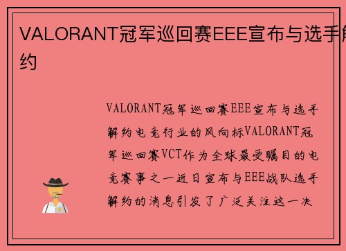 VALORANT冠军巡回赛EEE宣布与选手解约